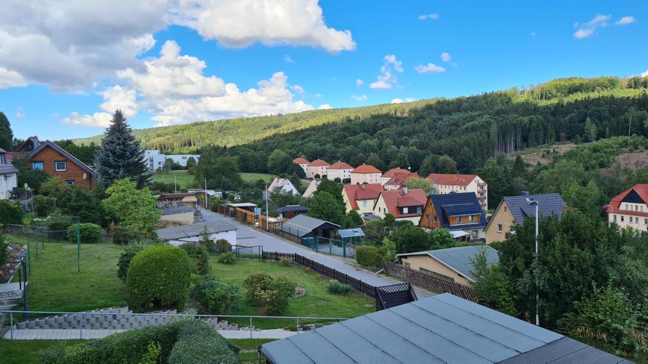 Ferienhaus Marx Sebnitz Exterior foto